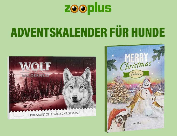 Adventskalender für Hunde