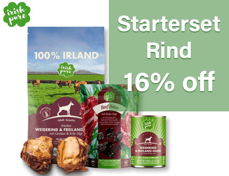 Starterset Rind