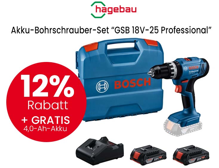 Akku-Bohrschrauber-Set »GSB 18V-25 Professional«