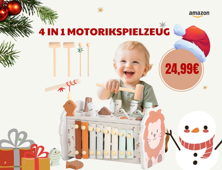 4 in 1 Motorikspielzeug 