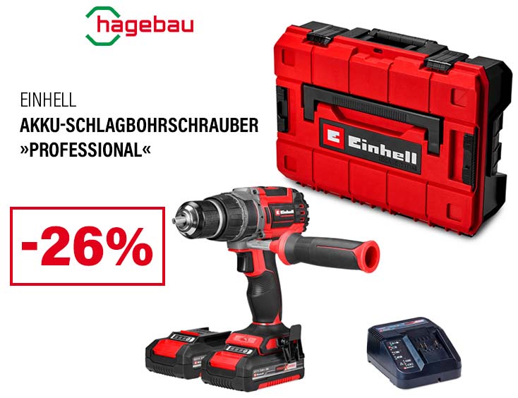 Akku-Schlagbohrschrauber »Professional«