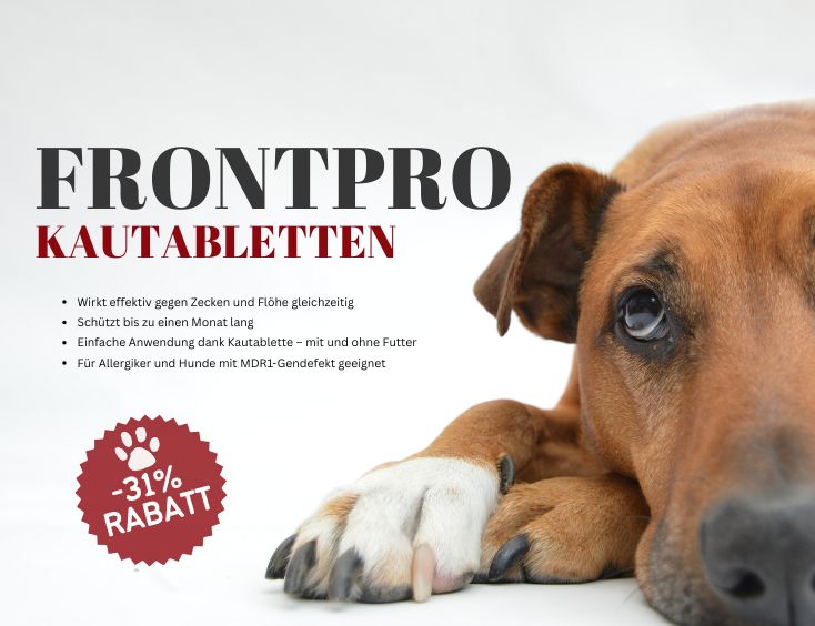 FRONTPRO Kautablette