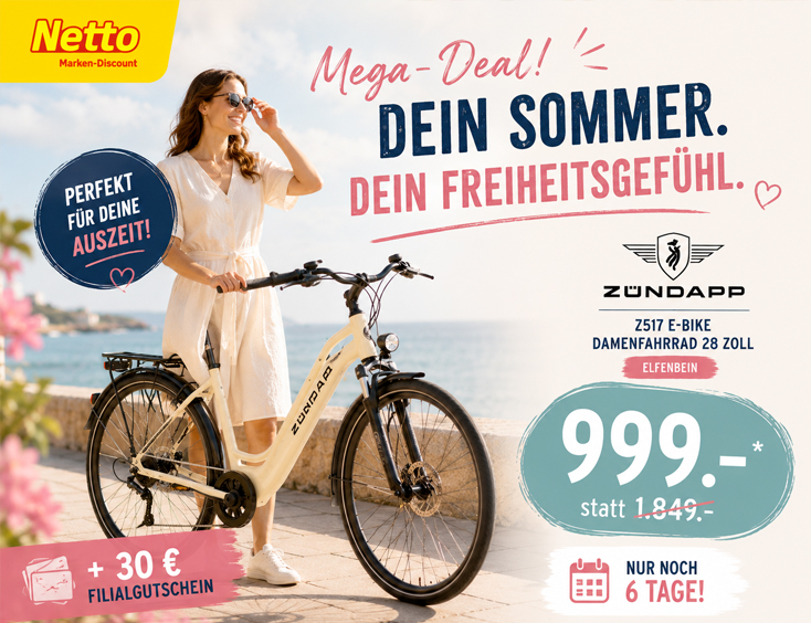 E Bike Damenfahrrad 