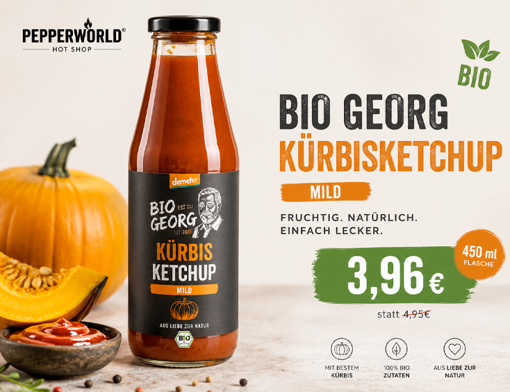 BIO Kürbisketchup Mild -20%