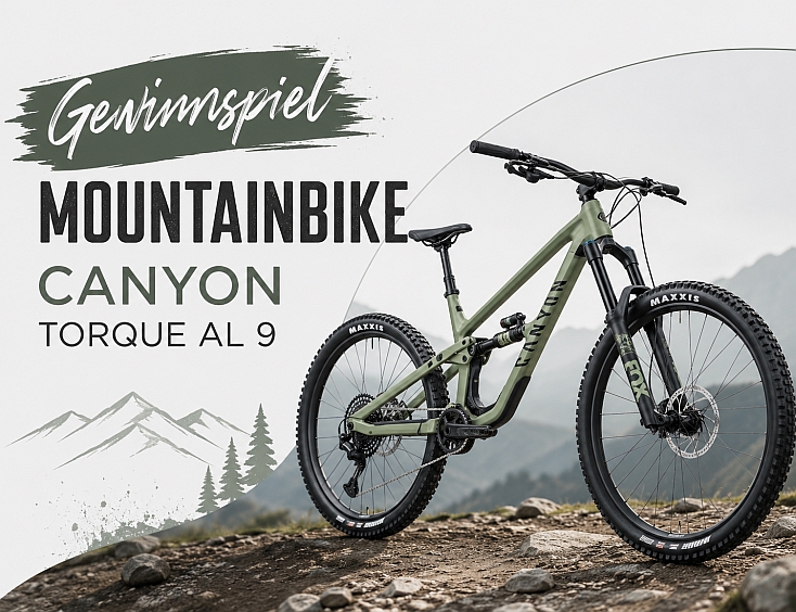 Mountainbike Canyon Torque AL 9